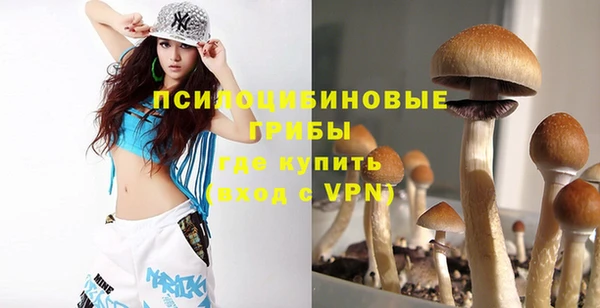 PSILOCYBIN Богородицк