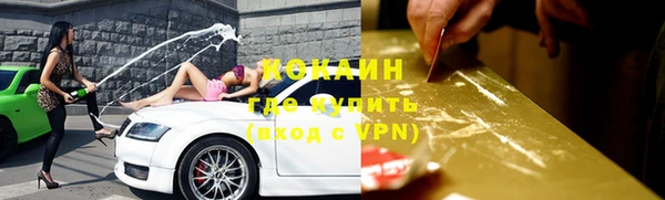 гашик Богданович