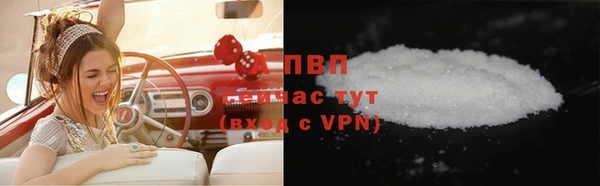 гашик Богданович