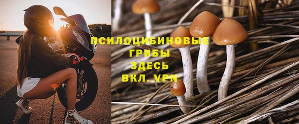 гашик Богданович