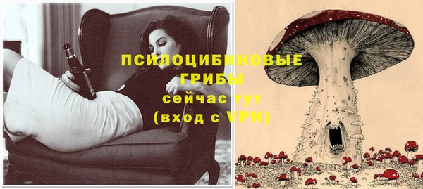 гашик Богданович