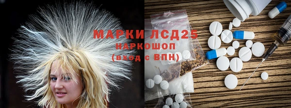 гашик Богданович