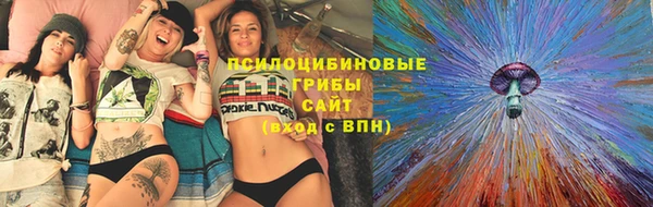 эйфоретик Богородск