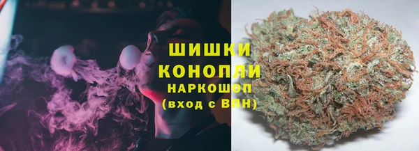 гашик Богданович
