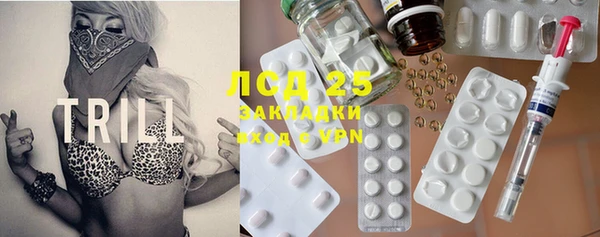 гашик Богданович