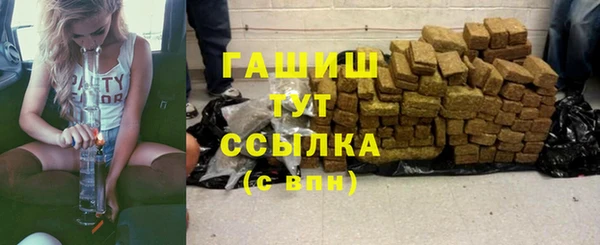 PSILOCYBIN Богородицк