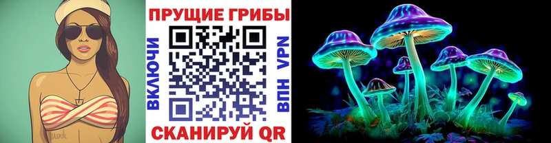 mega онион  Шумиха  Псилоцибиновые грибы ЛСД  закладки 